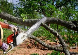 Salineville, OH Tree Care Company